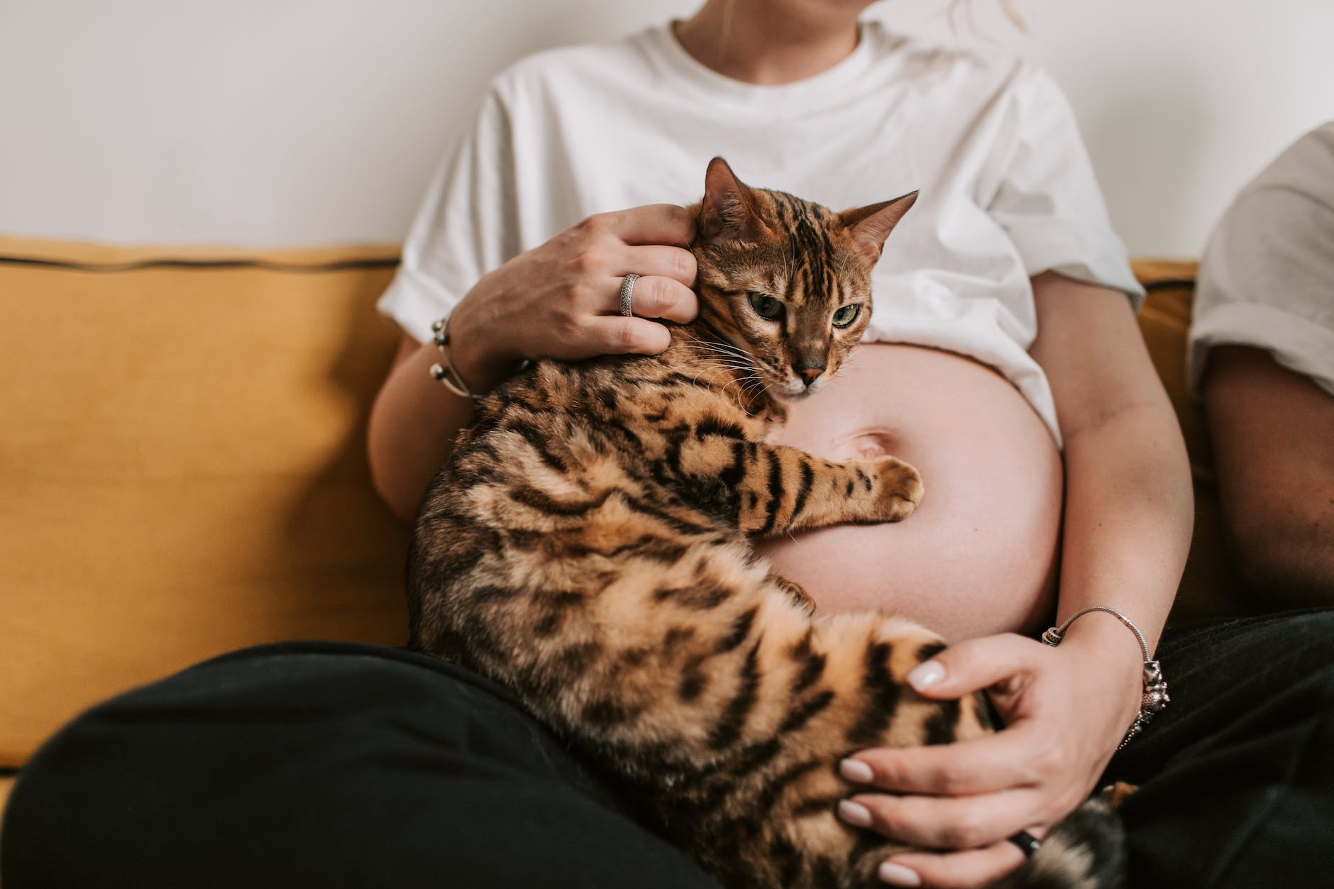 Pet of the Week: Bengals